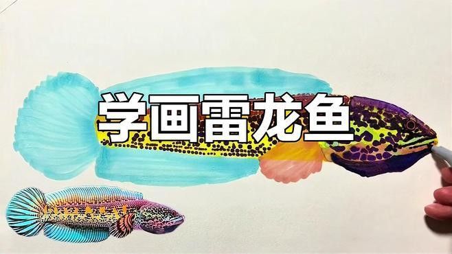 雷龍魚圖畫適合什么場合：雷龍魚圖畫因其獨特的文化寓意和藝術表現力和藝術表現力