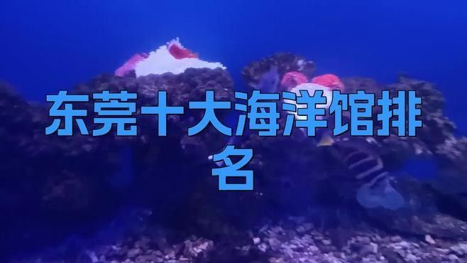如何聯(lián)系東莞龍魚養(yǎng)殖基地？：東莞三和田錦鯉養(yǎng)殖有限公司