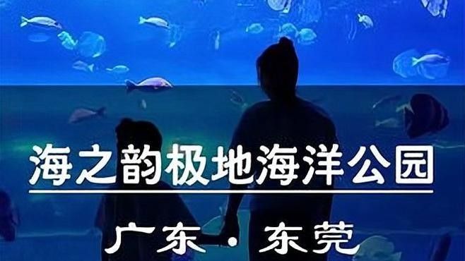 如何聯(lián)系東莞龍魚養(yǎng)殖基地？：東莞三和田錦鯉養(yǎng)殖有限公司