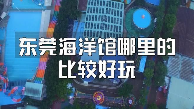 如何聯(lián)系東莞龍魚養(yǎng)殖基地？：東莞三和田錦鯉養(yǎng)殖有限公司
