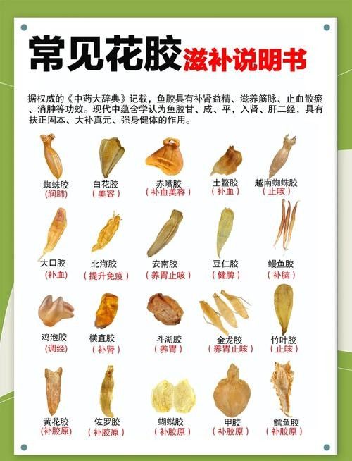 金龍魚膠絲有哪些功效和作用：金龍魚膠是一種營養豐富的海味食材，主要來源于魚鰾