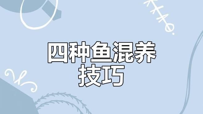 如何判斷一種魚是否適合混養：判斷觀賞魚是否適合混養需綜合以下關鍵因素并參考專業養殖經驗
