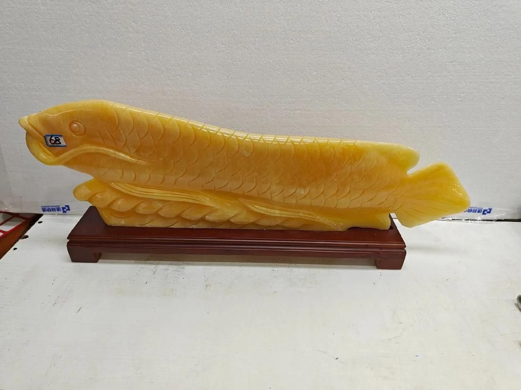 如何辨別真假玉金龍魚：怎樣辨別真假玉金龍魚