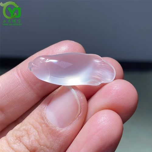 如何辨別真假玉金龍魚：怎樣辨別真假玉金龍魚