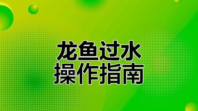 龍魚適應燈光需數周至數月，龍魚燈光階段對照表