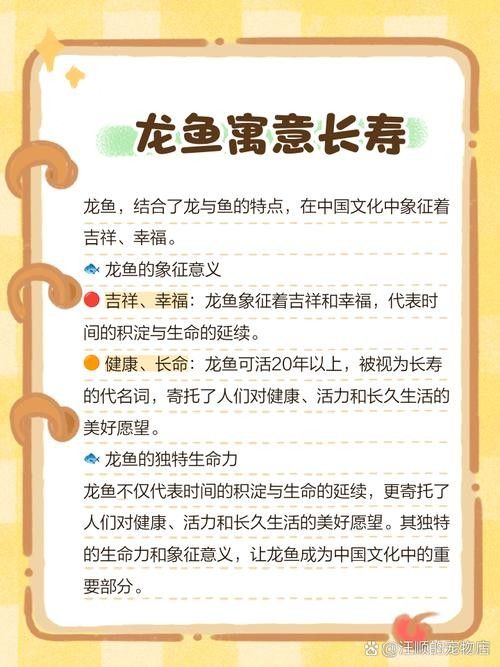 金龍魚一般能活多久：金龍魚壽命是多長時間