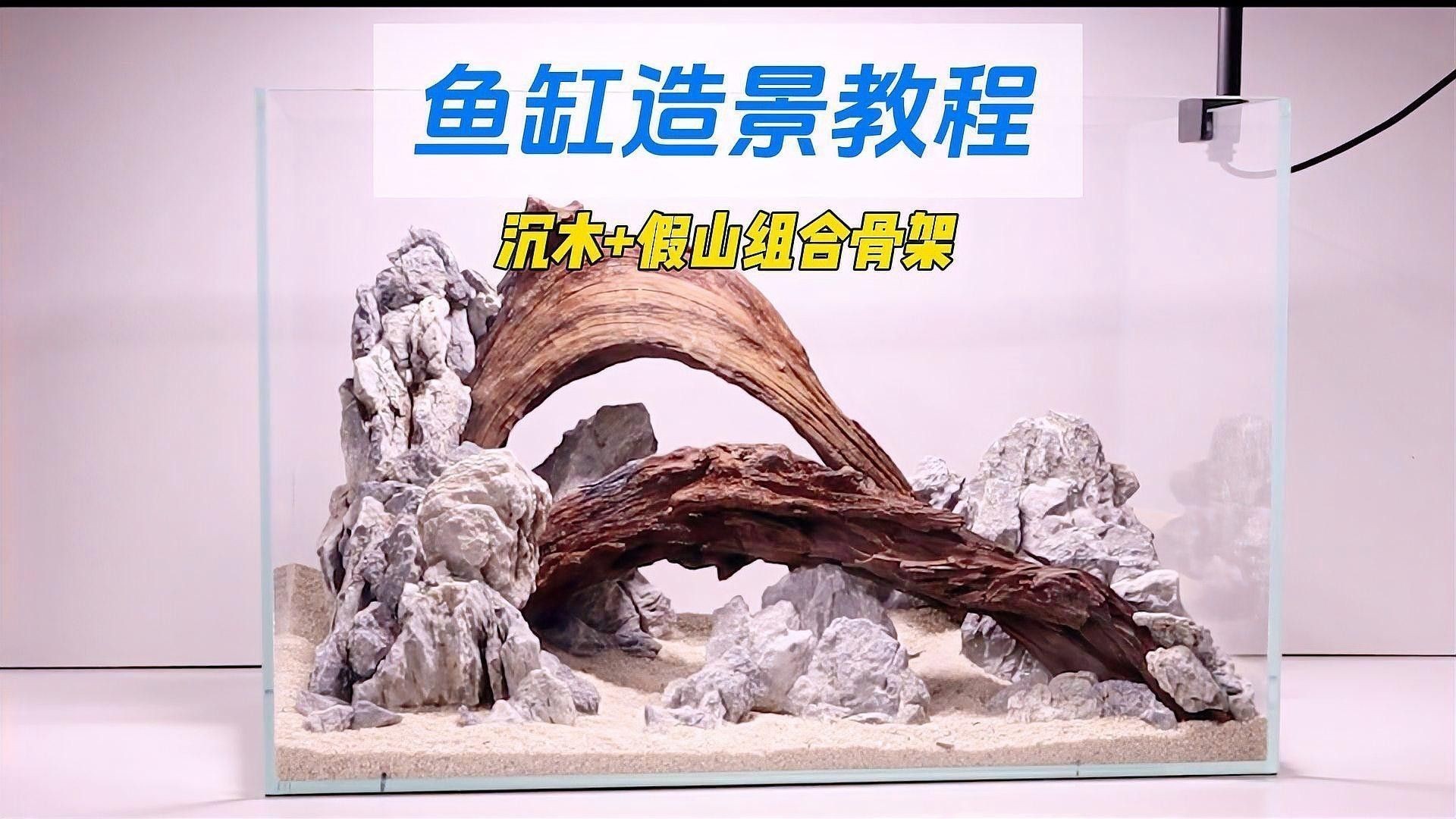 沉木造景需要哪些配套設備：沉木造景的配套設備根據缸體尺寸和造景風格選擇