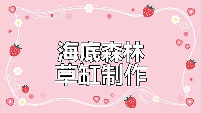 沉木造景需要哪些配套設備：沉木造景的配套設備根據缸體尺寸和造景風格選擇