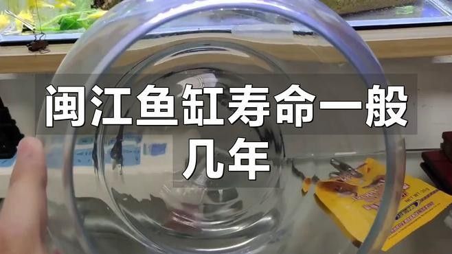 閩江免換水系列哪個型號性價比最高？：閩江免換水系列哪個型號最適合新手閩江免換水系列