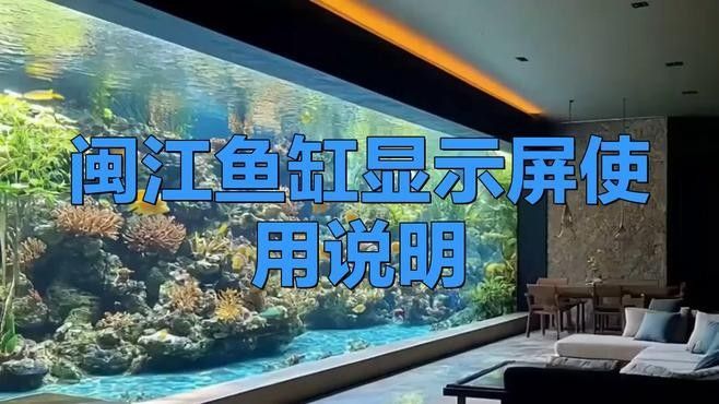 閩江免換水系列哪個型號性價比最高？：閩江免換水系列哪個型號最適合新手閩江免換水系列