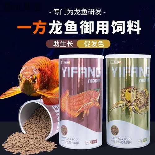 金龍魚飼料的價格范圍：金龍魚喂什么最好