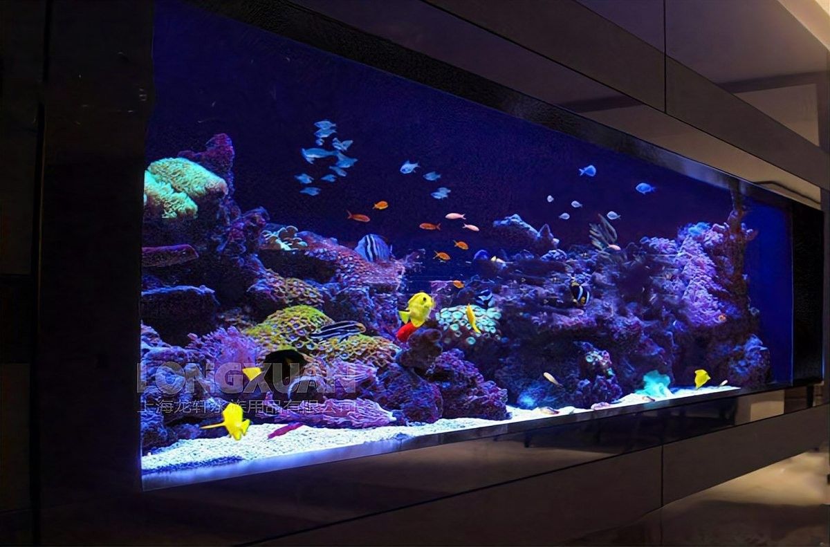 龍魚魚缸背景圖如何安裝：如何安裝龍軒大型亞克力魚缸