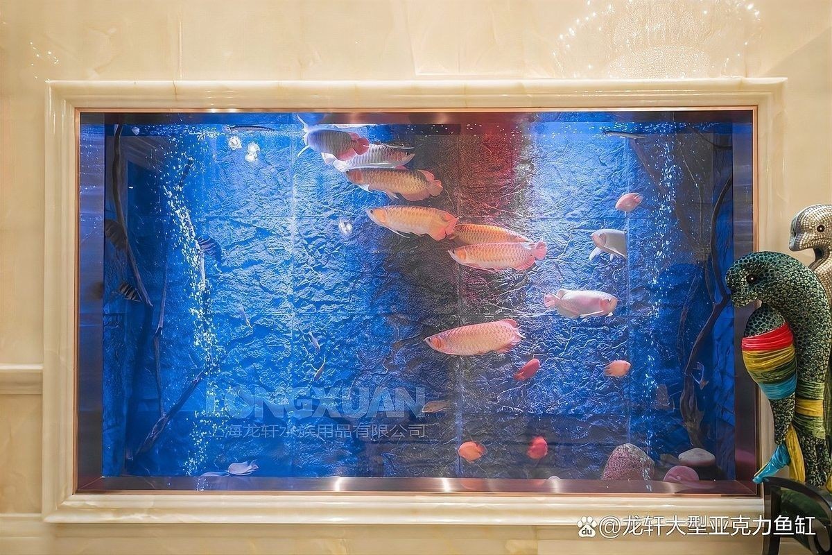 龍魚魚缸背景圖如何安裝：如何安裝龍軒大型亞克力魚缸