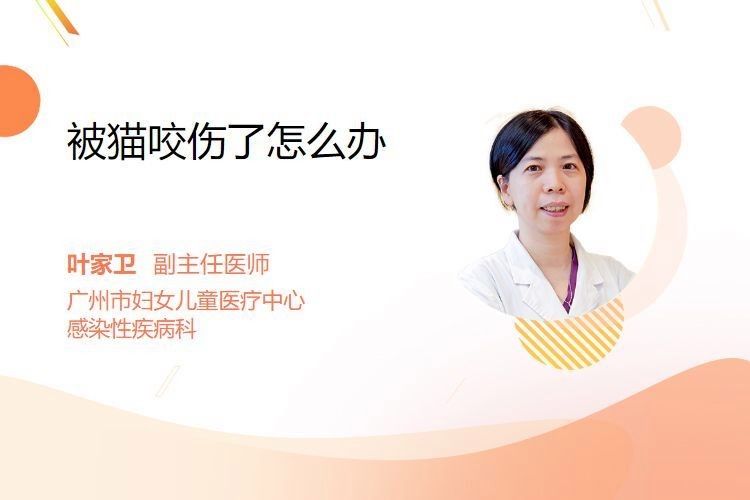 龍貓咬傷后需要就醫(yī)嗎？：被龍貓咬傷了怎么辦