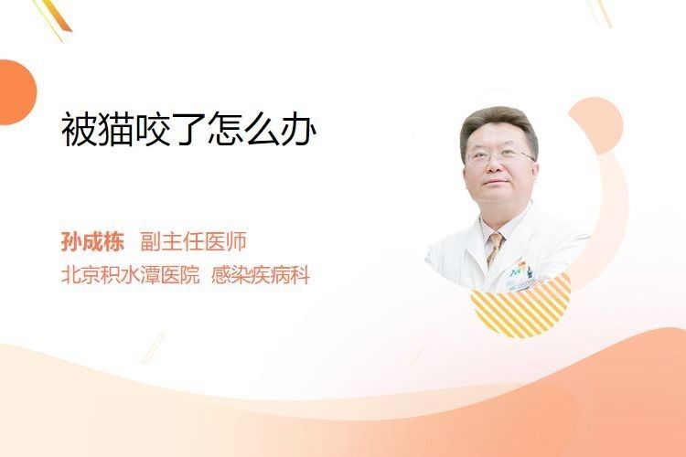 龍貓咬傷后需要就醫(yī)嗎？：被龍貓咬傷了怎么辦