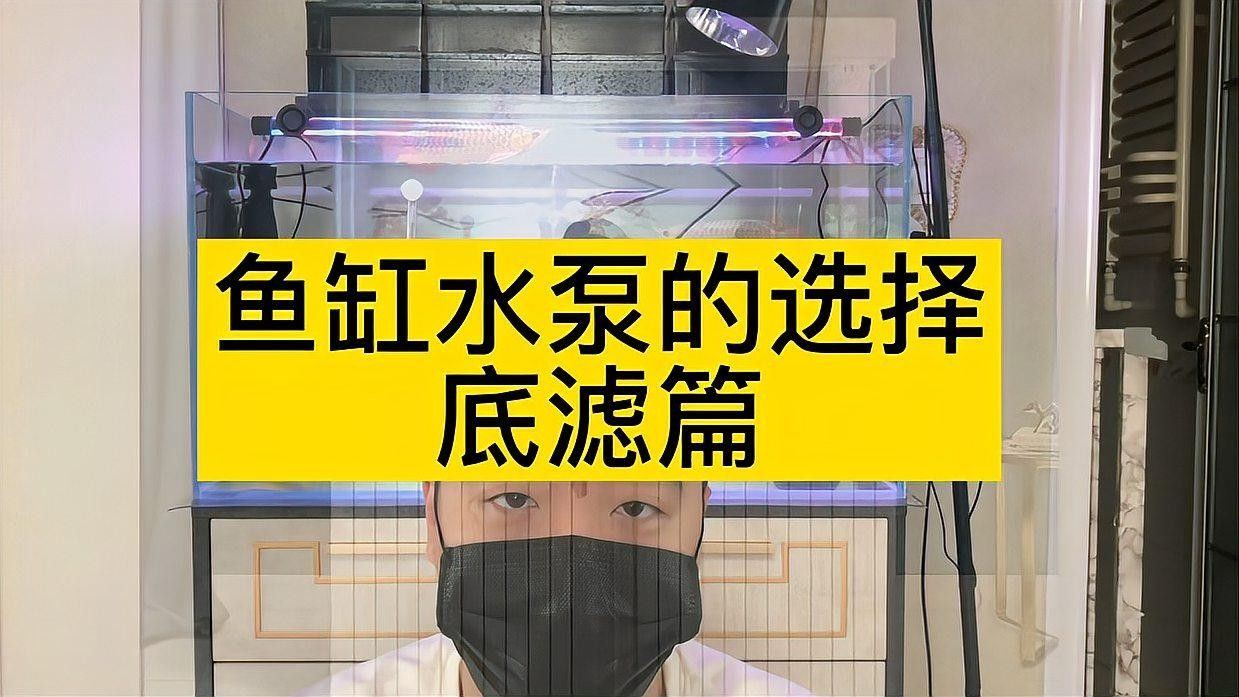 底濾系統需要多大的功率水泵？：萌寵百科小團團團團團團團團團團團團團團團團團團團團團團團團團