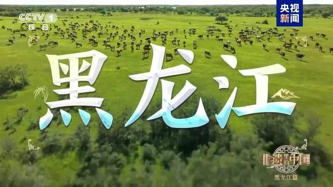 黑龍江非遺技藝在現(xiàn)代有哪些創(chuàng)新應(yīng)用：黑龍江非遺技藝在現(xiàn)代創(chuàng)新應(yīng)用中展現(xiàn)出多元融合活力