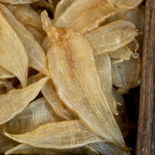 金龍魚膠有哪些功效：三甲金龍魚膠的功效和作用