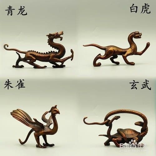 四大神獸混養需要多大的魚缸：四大神獸混養對魚缸尺寸有較高要求與生態平衡