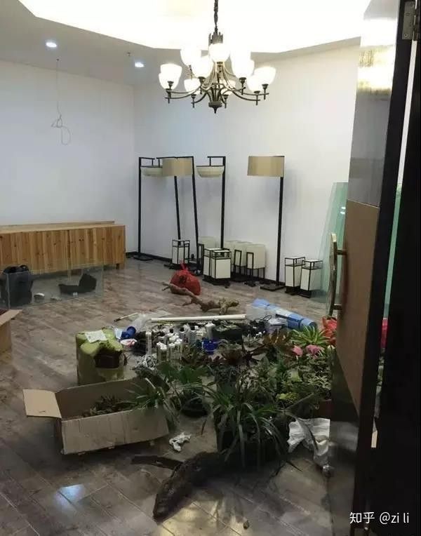 龍巔魚鄰APP如何使用？：龍巔-水族、文玩、寵物交流交易平臺