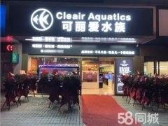龍魚世家水族館哪個分館最大？：龍魚世家水族館分館信息