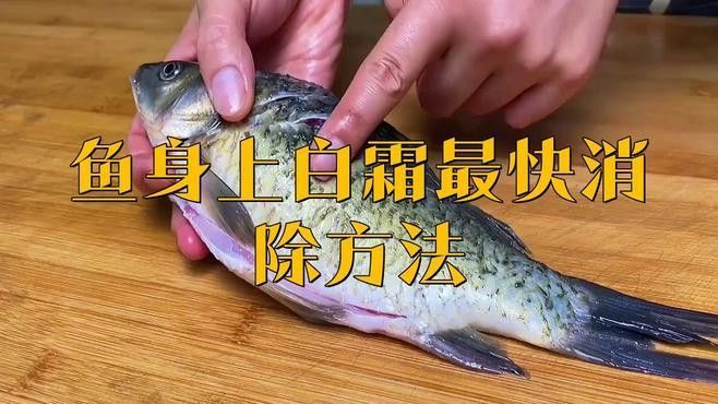 雷龍魚白霜病會傳染嗎：雷龍魚白霜病（通常表現為白點或絮狀物）具有較強傳染性
