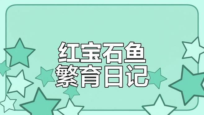 幻彩紅寶石雷龍魚繁殖方式是什么：幻彩紅寶石雷龍魚的繁殖方式