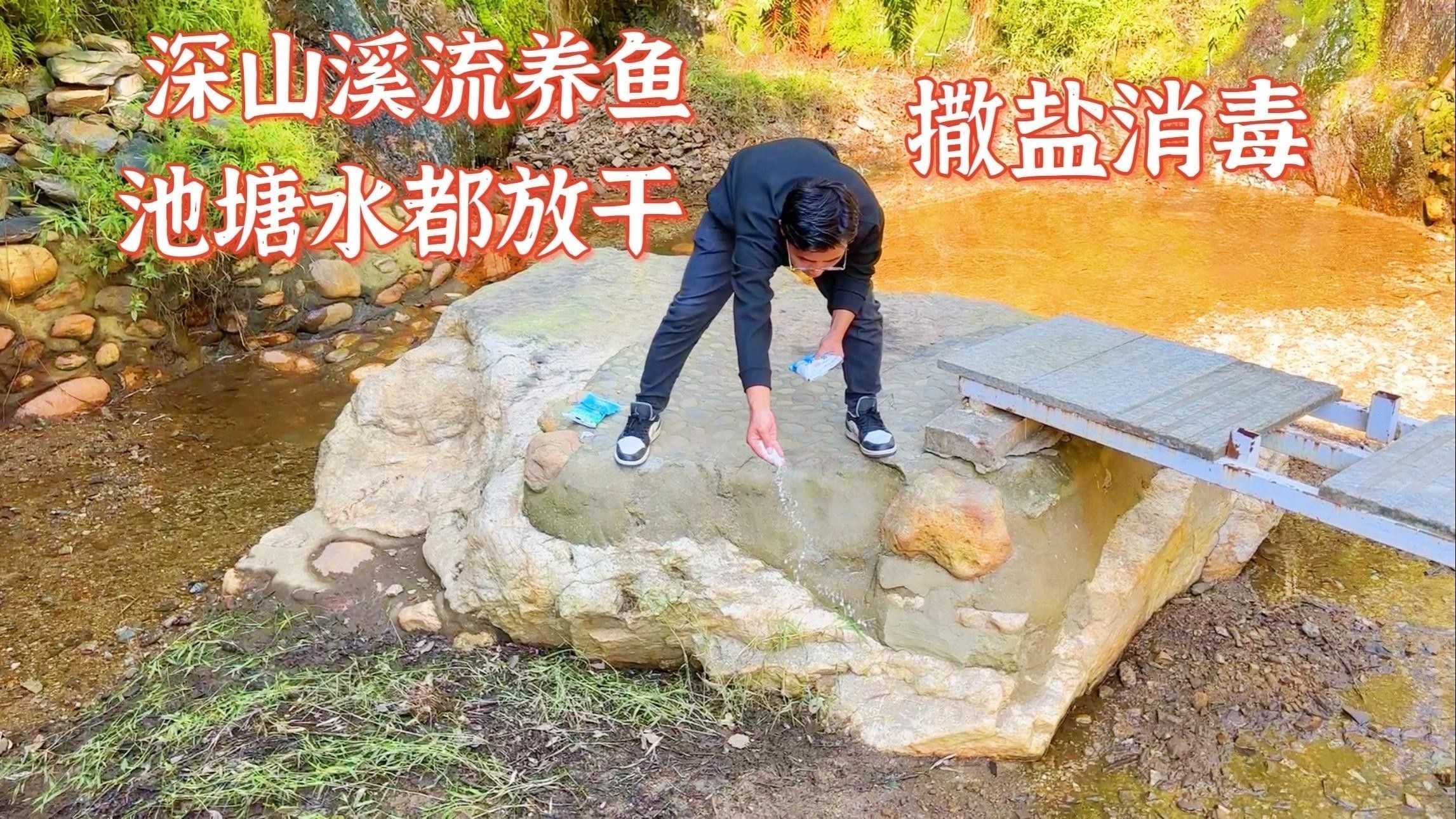 消毒后多久可以放魚？：消毒后放魚時間需根據消毒劑類型、用量及環境條件綜合判斷 消毒后多久可以放魚？：消毒后放魚時間需根據消毒劑類型、用量及環境條件綜合判斷 龍魚百科 第2張