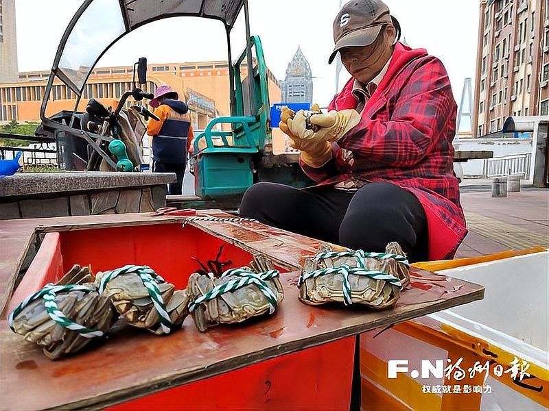 海峽水產(chǎn)品交易中心有哪些知名商戶：全國規(guī)模最大的水產(chǎn)品交易中心