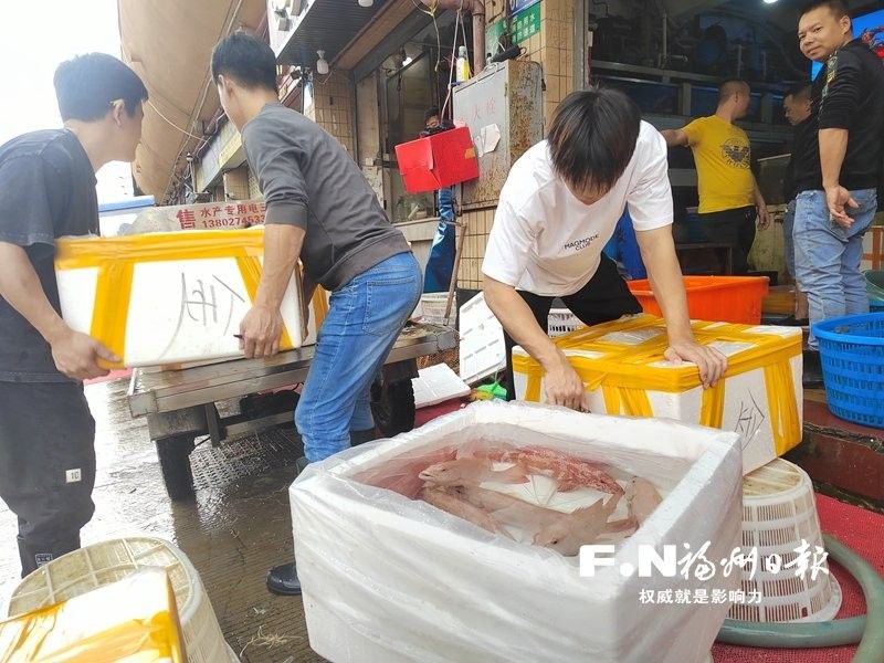 海峽水產(chǎn)品交易中心有哪些知名商戶：全國規(guī)模最大的水產(chǎn)品交易中心