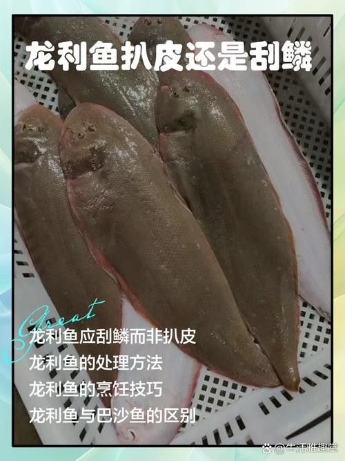 如何判斷瀾滄江龍魚是否新鮮？：判斷瀾滄江龍魚是否新鮮，如何判斷魚是否新鮮的還是變質的