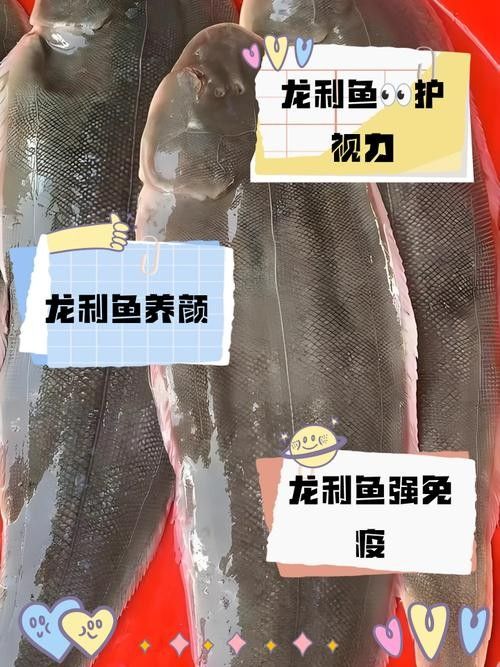 如何判斷瀾滄江龍魚是否新鮮？：判斷瀾滄江龍魚是否新鮮，如何判斷魚是否新鮮的還是變質的