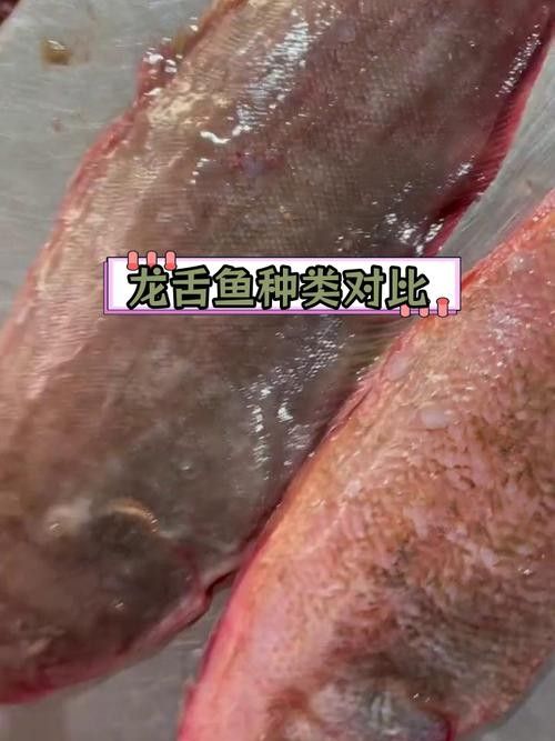 如何判斷瀾滄江龍魚是否新鮮？：判斷瀾滄江龍魚是否新鮮，如何判斷魚是否新鮮的還是變質的
