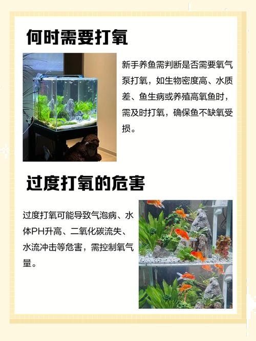 如何預防紅龍魚再次缺氧？：紅龍魚再次缺氧怎么辦
