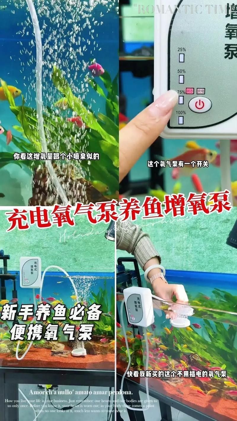 如何預防紅龍魚再次缺氧？：紅龍魚再次缺氧怎么辦