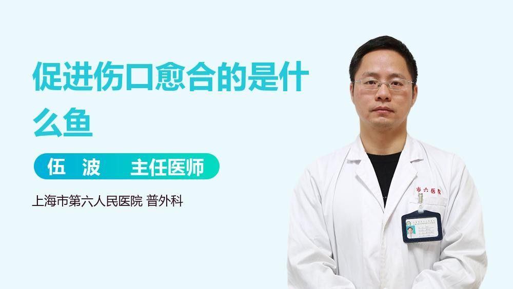 哪些魚類適合手術后食用？：手術后恢復傷口的魚