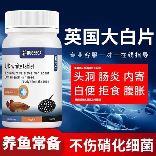 龍魚驅蟲藥有哪些推薦：水族觀賞魚龍魚驅蟲藥推薦及使用建議及使用建議