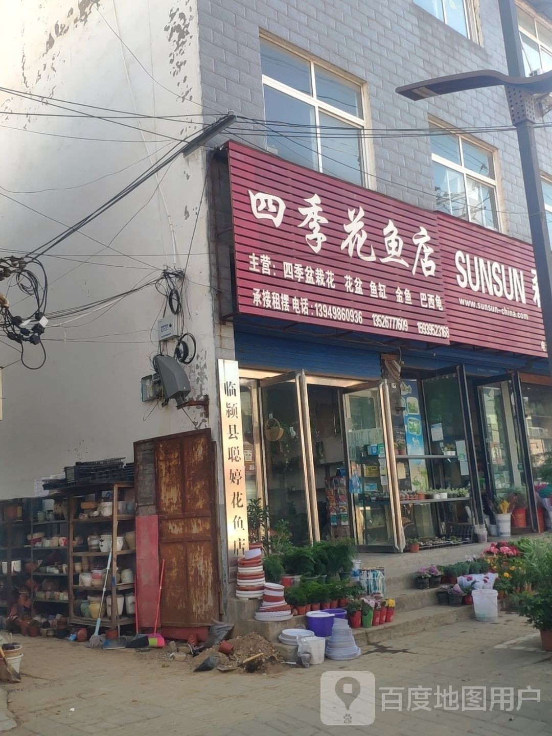 臨潁哪個水族館龍魚好？祥龍魚場龍魚：臨潁縣祥龍魚場