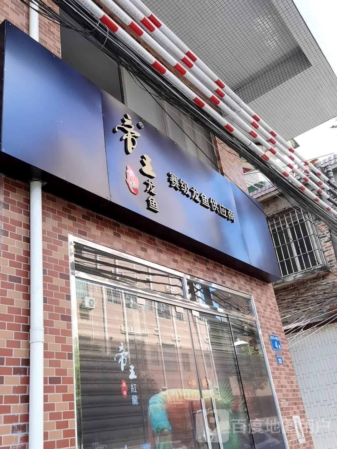 廣州龍魚漁場的具體位置在哪里：廣州龍魚漁場位置
