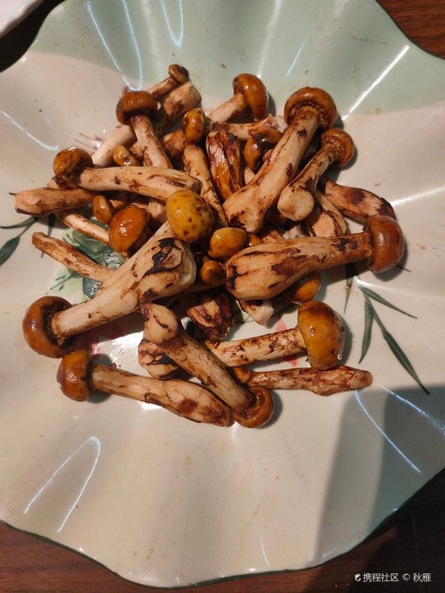 廣州龍魚漁場的具體位置在哪里：廣州龍魚漁場位置