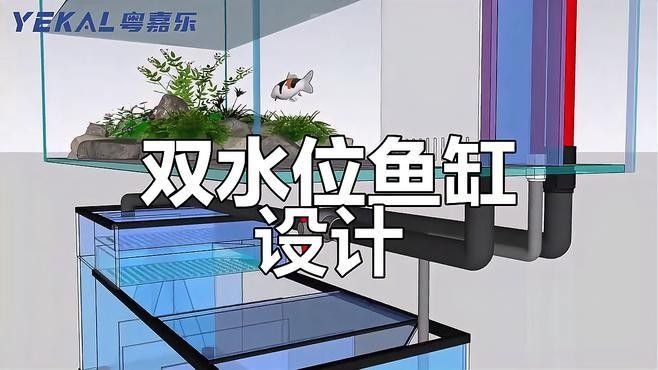 祥龍魚場龍魚出口的主要國家有哪些？，祥龍魚場出口國家清單 祥龍魚場龍魚出口的主要國家有哪些？，祥龍魚場出口國家清單 龍魚百科 第2張
