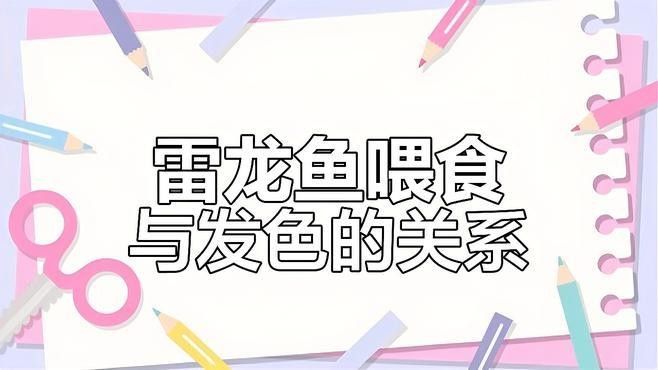 藍寶石雷龍魚發色技巧：藍寶石雷龍魚發色技巧至關重要，掌握正確發色技巧至關重要