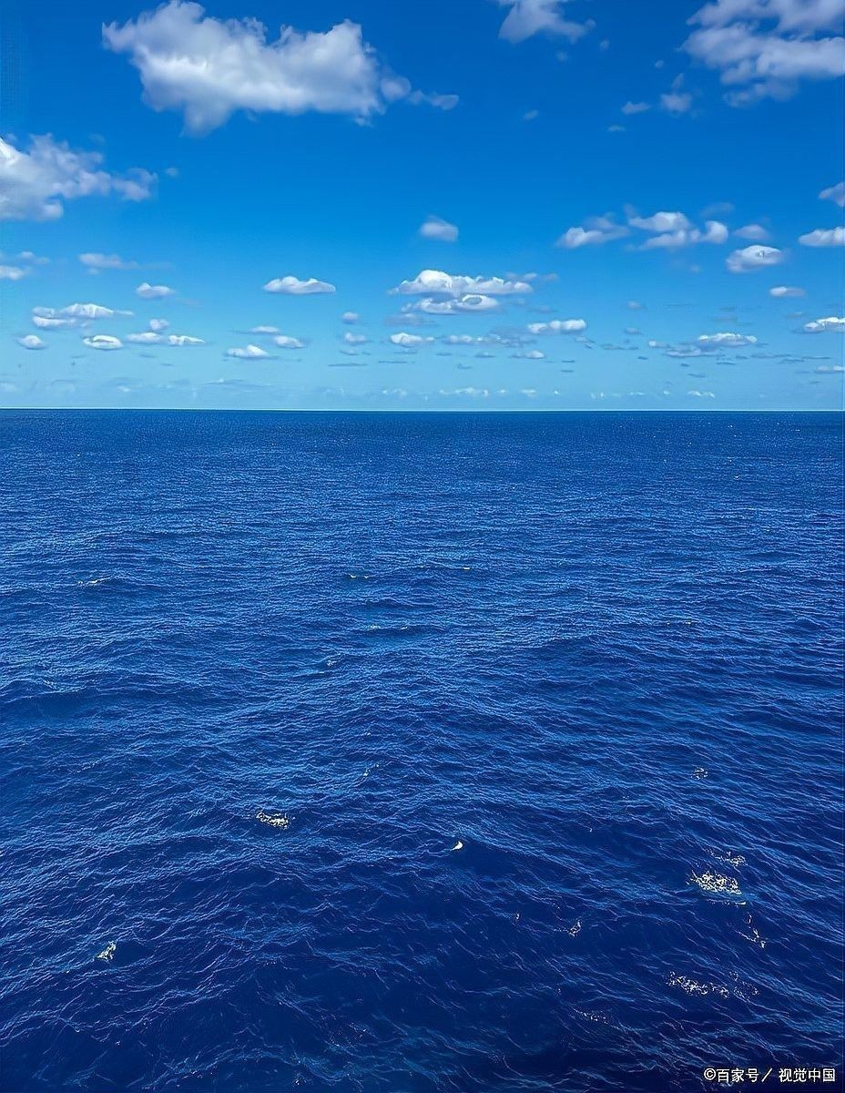 龍魚在淡水還是海水：海水與淡水的區別是什么陳作農解釋海水與淡水的區別 龍魚在淡水還是海水：海水與淡水的區別是什么陳作農解釋海水與淡水的區別 龍魚百科 第9張