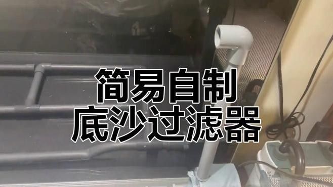 如何選擇適合龍魚的底沙：如何選擇適合的龍魚底沙