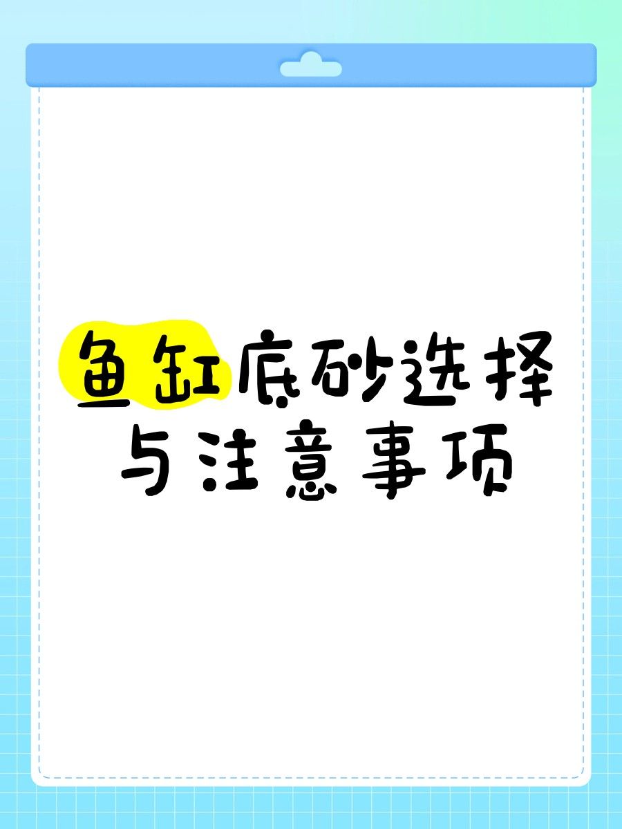 如何選擇適合龍魚的底沙：如何選擇適合的龍魚底沙