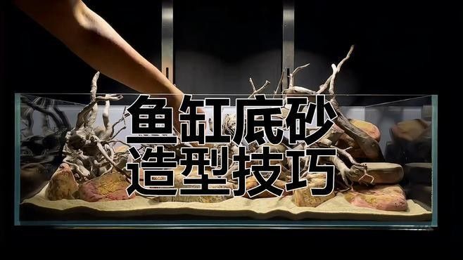 如何選擇適合龍魚的底沙：如何選擇適合的龍魚底沙