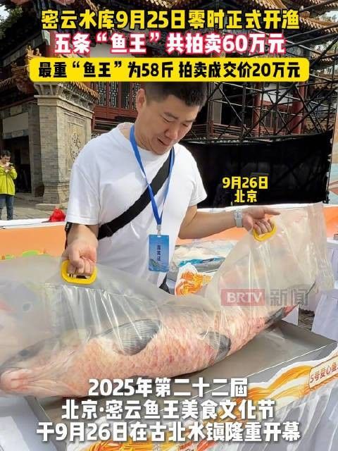 龍魚的價格差異大嗎？：龍魚價格揭秘:從頂級到普通品種的詳細指南平凡偉大夢想