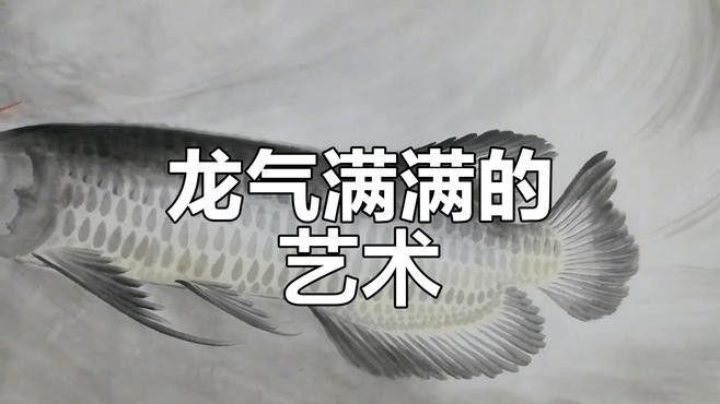 龍魚圖片欣賞：不同品種龍魚的視覺特征與經典品相：打造霸氣金龍魚