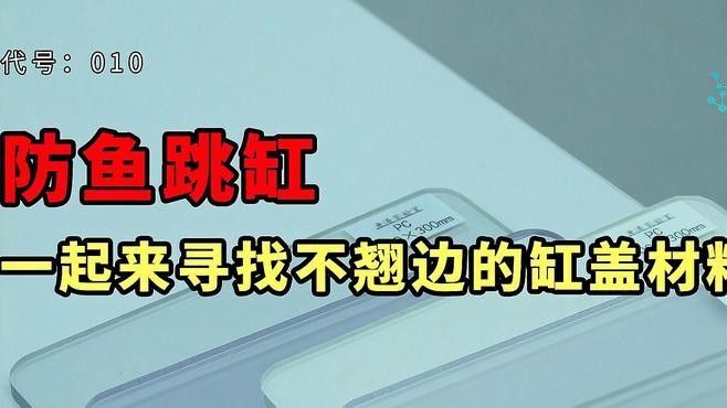哪種材質的龍魚缸加蓋性價比最高：魚缸蓋怎么選擇