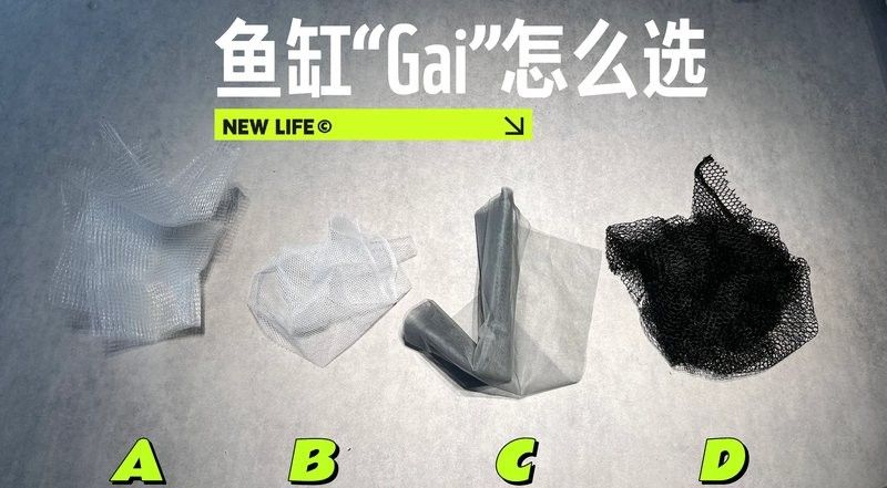 哪種材質的龍魚缸加蓋性價比最高：魚缸蓋怎么選擇